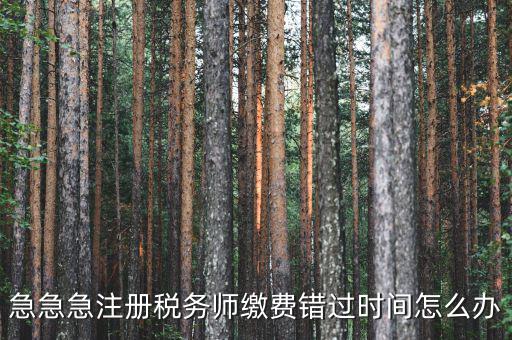 廣東省稅務(wù)師會(huì)費(fèi)什么時(shí)候交，廣州2013年的匯算清繳報(bào)告什么時(shí)候交