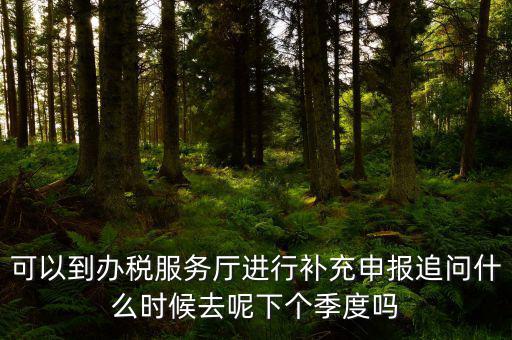據(jù)實(shí)申報(bào)是按照什么申報(bào)，可以到辦稅服務(wù)廳進(jìn)行補(bǔ)充申報(bào)追問(wèn)什么時(shí)候去呢下個(gè)季度嗎