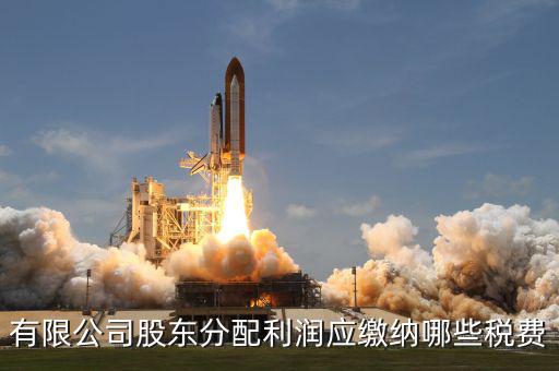 公司股東需要交什么稅，有限公司股東分配利潤應繳納哪些稅費
