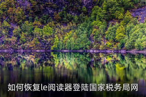 如何恢復(fù)le閱讀器登陸國(guó)家稅務(wù)局網(wǎng)