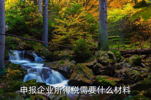 企業(yè)所得稅補(bǔ)申報(bào)需要什么，申報(bào)企業(yè)所得稅需要什么材料