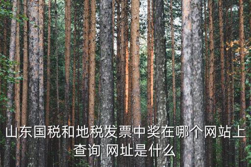 發(fā)票領(lǐng)用什么網(wǎng)站，誰知道發(fā)票兌獎上那個網(wǎng)站