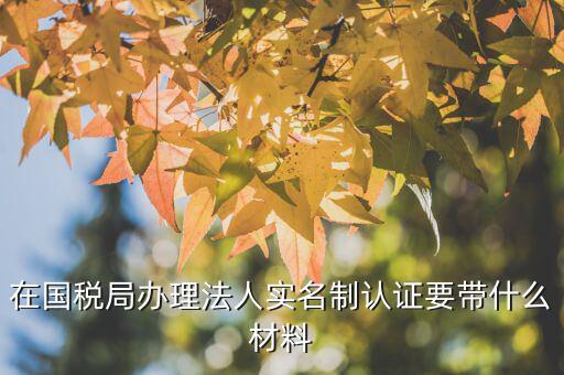實(shí)名制辦稅員辦理需要什么資料，辦稅員證要帶什么資料
