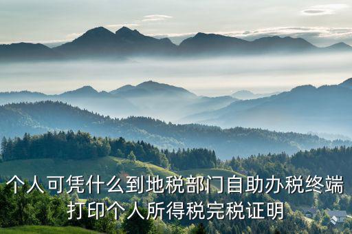 稅務(wù)局自助辦稅服務(wù)終端是什么，自助辦稅終端 報稅