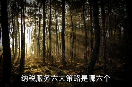 六大減稅措施是什么，針對(duì)個(gè)稅的減稅政策有哪些