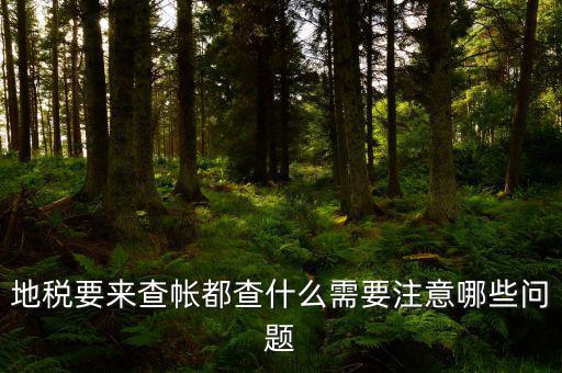 地稅主要查什么，地稅查賬一般都查哪些方面呢