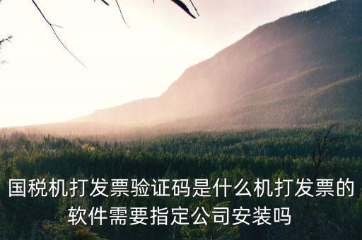 北京國稅電子發(fā)票驗證密碼是什么，國稅局發(fā)票軟件里用戶代碼和密碼是什么