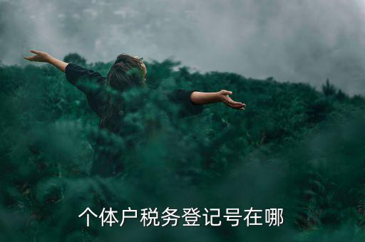 個體戶稅務登記號在哪
