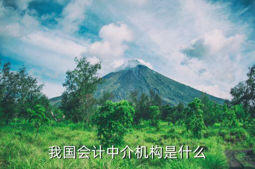 什么是涉稅中介機(jī)構(gòu)，我國會計中介機(jī)構(gòu)是什么