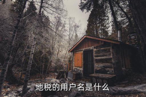 河北地稅申報用戶名是什么，地稅的用戶名是什么