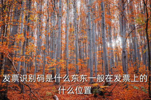 河北發(fā)票識別碼是什么意思，發(fā)票的識別碼是不是繳稅單位的稅號