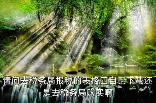 環(huán)保稅申報表什么下載，環(huán)保稅申報表特征指標怎么填