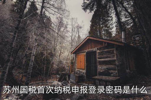 蘇州國稅首次納稅申報(bào)登錄密碼是什么