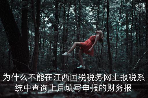 為什么不能在江西國稅稅務網(wǎng)上報稅系統(tǒng)中查詢上月填寫申報的財務報