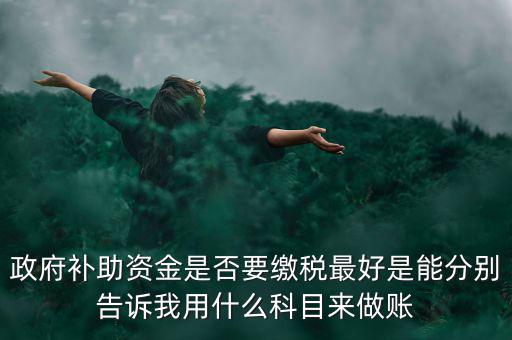 政府補(bǔ)貼交什么稅，關(guān)于政府補(bǔ)助的納稅問題 請高手來回答啊 謝謝