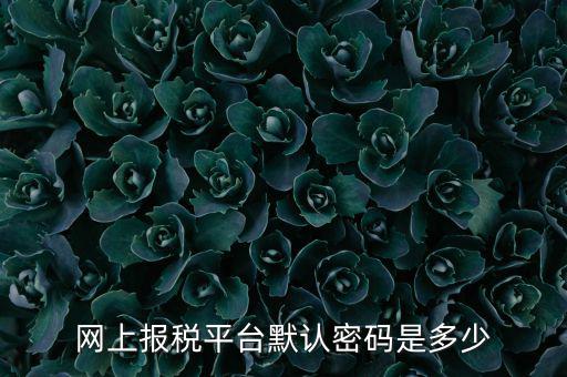 山東國(guó)稅登錄密碼是什么，國(guó)家稅務(wù)總局網(wǎng)上辦稅服務(wù)廳初始密碼是什么