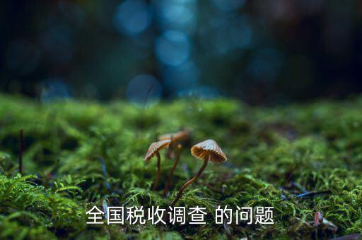 全國(guó)稅收調(diào)查是什么呢，全國(guó)稅收調(diào)查表說(shuō)明