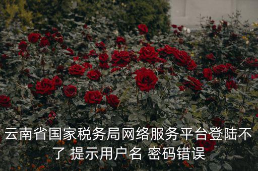云南稅控服務(wù)平臺(tái)的網(wǎng)址是什么，云南國(guó)稅開票系統(tǒng)網(wǎng)址