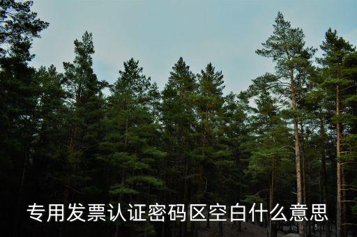 河南發(fā)票密碼是什么意思，專用發(fā)票認(rèn)證密碼區(qū)空白什么意思