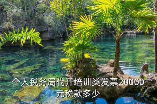 個人稅務(wù)局代開培訓類發(fā)票20000元稅款多少