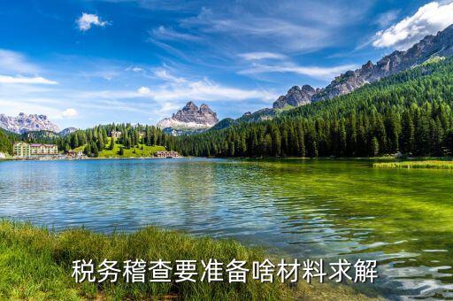稅收調(diào)查需要什么資料，稅務(wù)檢查調(diào)閱企業(yè)會(huì)計(jì)資料需要辦理什么手續(xù)