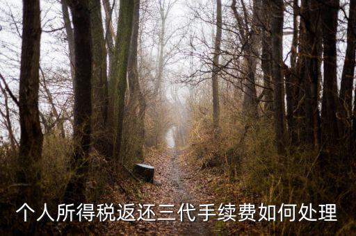 地稅局的退付三代手續(xù)費是什么意思，三代手續(xù)費返還該計入什么科目