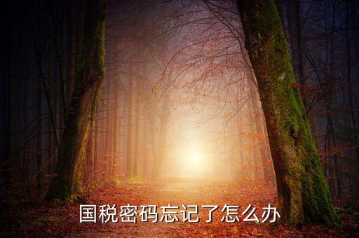 國(guó)稅局重置密碼需要帶什么資料，國(guó)稅修改過登錄密碼 又忘記了怎么辦