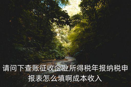 企業(yè)所得稅申報查賬是什么表，剛注冊了一個小規(guī)模的公司企業(yè)所得稅是查帳征收企業(yè)所得稅報表
