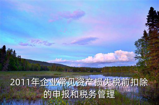 什么是資產(chǎn)損失屬于清單申報，資產(chǎn)損失稅前扣除什么是清單申報專項(xiàng)申報