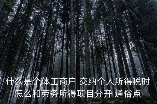 什么叫個(gè)體工商戶經(jīng)營(yíng)所得，個(gè)體工商戶的生產(chǎn)經(jīng)營(yíng)所得是指什么