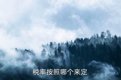 什么人定的稅收預測準確率，稅率按照哪個來定