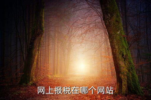 網上報稅在哪個網站