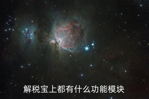 稅寶是什么意思，解稅寶上都有什么功能模塊