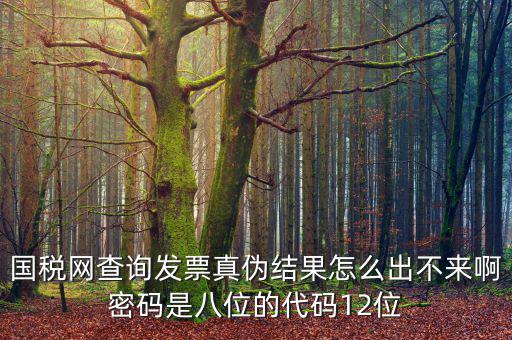 國稅局發(fā)票真?zhèn)尾樵兠艽a是什么，國稅網查詢發(fā)票真?zhèn)谓Y果怎么出不來啊密碼是八位的代碼12位