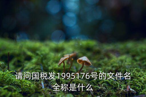 國(guó)稅初始化文件是什么字頭，稅務(wù)申報(bào)材料初始化是什么意思