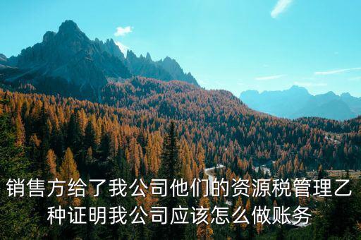什么叫資源稅甲乙種證明，銷售方給了我公司他們的資源稅管理乙種證明我公司應(yīng)該怎么做賬務(wù)
