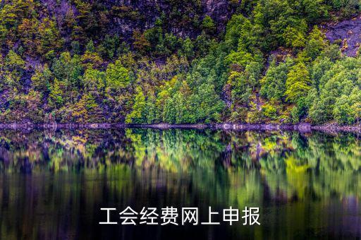 工會(huì)經(jīng)費(fèi)在什么地方申報(bào)，有關(guān)工會(huì)經(jīng)費(fèi)申報(bào)的問(wèn)題