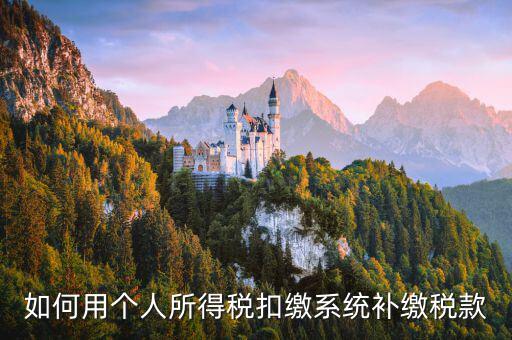 個(gè)人所得稅用什么系統(tǒng)，個(gè)人所得稅代扣代繳系統(tǒng) 支持Windows7 嗎