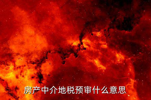 地稅審批是什么意思，稅務(wù)局非行政許可審批是什么意思