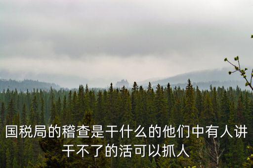 國(guó)稅局查什么的，國(guó)稅局的稽查是干什么的他們中有人講干不了的活可以抓人