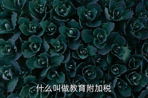 教育附加什么意思，教育費(fèi)附加代表什么意思