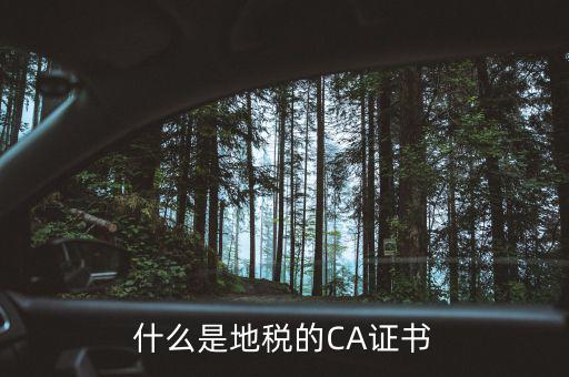 什么叫地稅CA用戶，什么是CA用戶