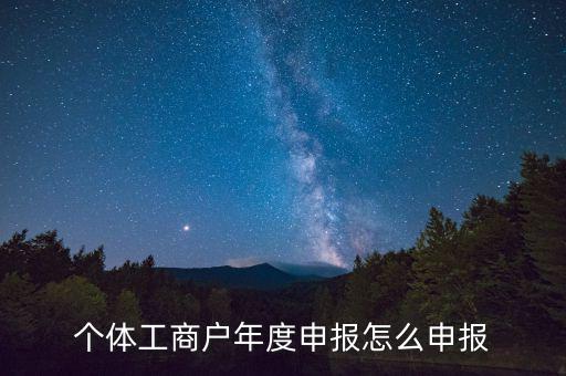 個(gè)體工商戶(hù)年度申報(bào)怎么申報(bào)