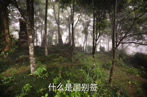 什么是國(guó)別報(bào)送條件，國(guó)別是什么意思