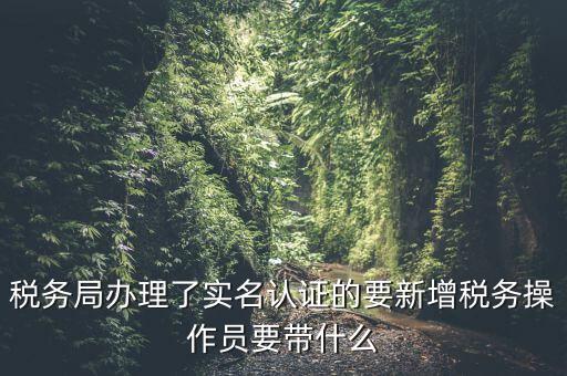 稅務(wù)局辦理了實名認(rèn)證的要新增稅務(wù)操作員要帶什么