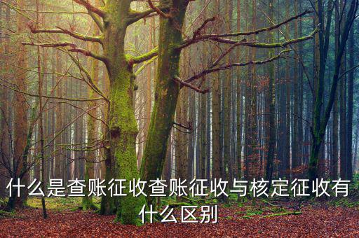 什么是查賬征收和核定征收，查賬征收與核定征收的區(qū)別是什么