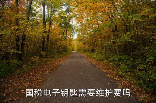 辦稅鑰匙是什么意思，網(wǎng)上報稅請插入電子令牌是什么意思