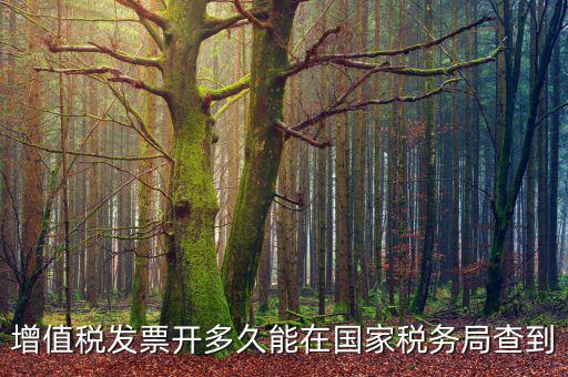 稅局什么時候查發(fā)票，增值稅發(fā)票開多久能在國家稅務局查到