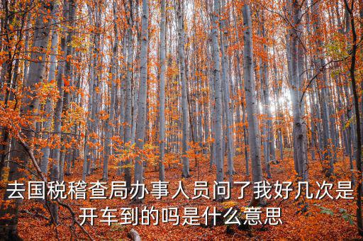 國稅說需要運(yùn)維是什么意思，什么條件需要辦理國稅我是一個(gè)月收入2千左右的維修小檔口也要輸