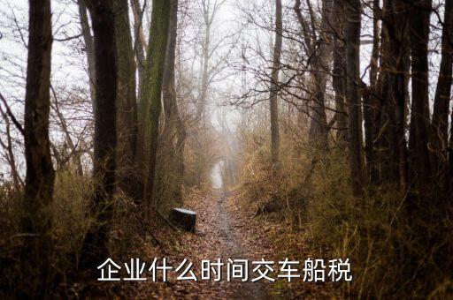 什么時候申報車船稅，車船稅應當在什么時候申報繳納 承德